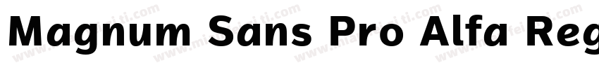 Magnum Sans Pro Alfa Regular 4字体转换